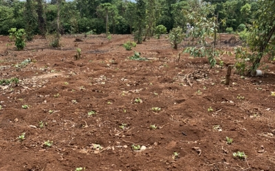 BÁN ĐẤT XÃ CƯ BAO BUÔN HỒ ĐĂK LĂK CÁCH QUỐC LỘ 14 CHỈ CÓ HƠN 1 KM