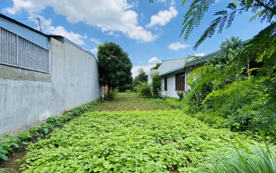 BÁN ĐẤT  THÔN TÂN HƯNG XÃ EA KAO GIÁ TỐT NHẤT KHU VỰC CÁCH XE TĂNG CHỈ 6 KM