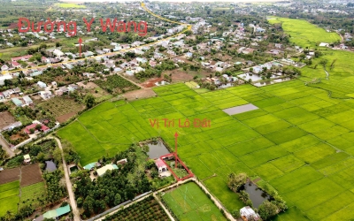 BÁN ĐẤT XÂYNHÀ VƯỜN VIEW RUỘNG THUỘC THÔN TÂN HƯNG XÃ EA KAO