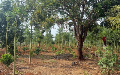 BÁN ĐẤT VƯỜN 1000m2 GIÁ 650tr GẦN HỒ EA BÔNG EA KAO CƠ HỘI ĐẦU TƯ VÀ NGHỈ DƯỠNG TUYỆT VỜI