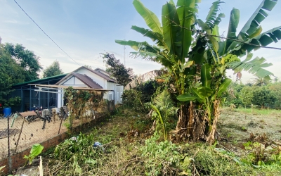 🌿🏡 BÁN ĐẤT KOMLEO – SAU LƯNG NHÀ CỘNG ĐỒNG BUÔN KOMLEO – ĐƯỜNG BÊ TÔNG THÔNG 2 ĐẦU 🚗
