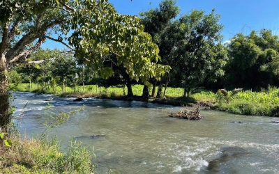 🌿✨ SIÊU PHẨM ĐẤT VIEW SUỐI HÒA KHÁNH – CÁCH TP. BUÔN MA THUỘT CHỈ 9KM ✨🌿
