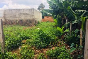 Bán đất sau chợ Đạt Lý – Ea Tu – Buôn Ma Thuột – Đăk Lăk