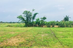 Bán đất hẻm 337 Võ Văn Kiệt – Tp. BMT ĐăkLăk