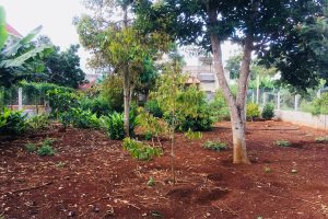 Bán nhà và kho mặt tiền quốc lộ 26 – Buôn Ma Thuột – Đăk Lăk