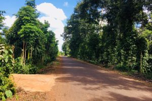 Bán đất thôn 3 Cư Suê – Cư Mgar – Buôn Ma Thuột – Đăk Lăk