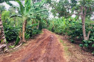 BÁN ĐẤT GẦN HỒ EA NHÁI BUÔN MA THUỘT ĐĂK LĂK