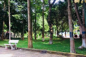 Bán đất đường Hoàng Văn Thụ đối diện công viên Phù Đổng – Buôn Ma Thuột – Đăk Lăk