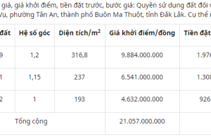 Thông báo : Đấu giá Lê Vụ Phường Tân An Buôn Ma Thuột Đăk Lăk