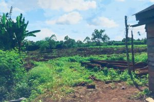 BÁN 1,8 HA TẠI QUẢNG TIẾN CƯ MGAR ĐĂK LĂK