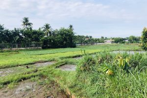 BÁN ĐẤT HẺM TRẦN PHÚ THÔNG QUA NGUYỄN TRI PHƯƠNG BUÔN MA THUỘT ĐĂK LĂK