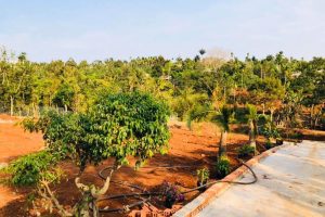 BÁN ĐẤT SÀO VIEW SUỐI CÓ THỔ CƯ TẠI HÒA THẮNG BUÔN MA THUỘT