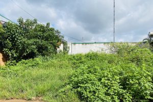 BÁN ĐẤT HẺM 23 ĐƯỜNG NGUYỄN KHUYẾN GẦN BẢO TÀNG THẾ GIỚI CÀ PHÊ