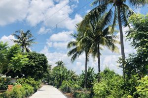 BÁN ĐẤT SÀO EA BAR BUÔN ĐÔN ĐĂK LĂK