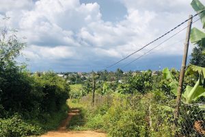 BÁN ĐẤT ĐỐI DIỆN TRƯỜNG HỌC TRẦN QUANG DIỆU ĐI VÀO (ĐƯỜNG 19B)