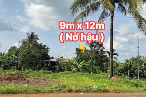 🏡 BÁN ĐẤT MẶT TIỀN ĐƯỜNG NHỰA LIÊN XÃ EA KAO – HOÀ KHÁNH (BUÔN KBU)