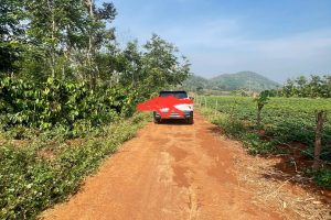 🏡✨ BÁN ĐẤT ĐẸP FULL THỔ CƯ – EA KTUR, CƯ KUIN ✨🏡