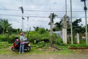 🏡🔥 ĐẤT MẶT TIỀN ĐƯỜNG 2KC KIÊN CƯỜNG – PHƯỜNG TÂN AN ĐẮK LẮK 🔥🏡