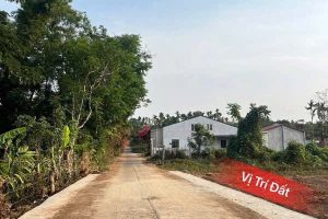 🌹 ĐẤT RẺ KHU TAM GIÁC VÀNG KOMLEO – NGAY KOMLEO FARM 🌹
